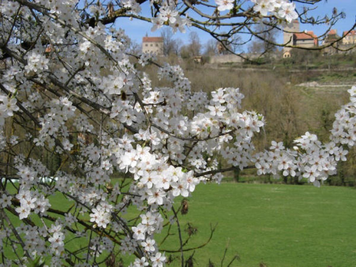 Herrnmuehle - Pension & Ferienwohnungen Rothenburg ob der Tauber Ngoại thất bức ảnh